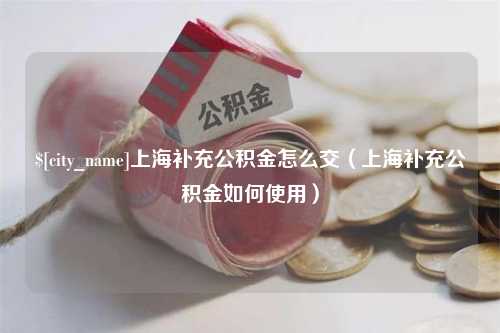 南县上海补充公积金怎么交（上海补充公积金如何使用）